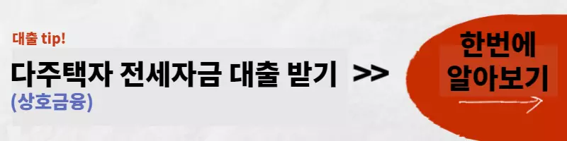  다주택자 전세자금대출 받는 방법 총정리 - 상호금융, 캐피탈사, 보험사 가능