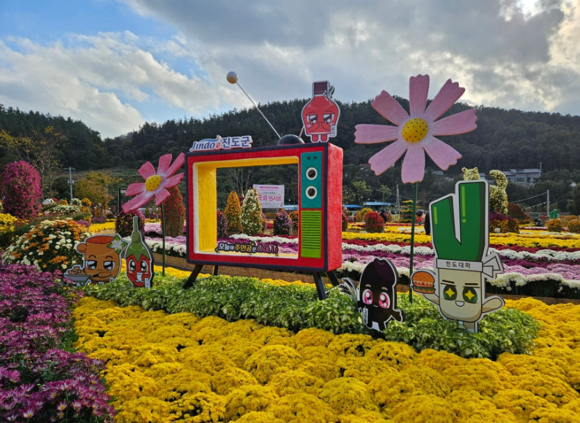 국화축제 5