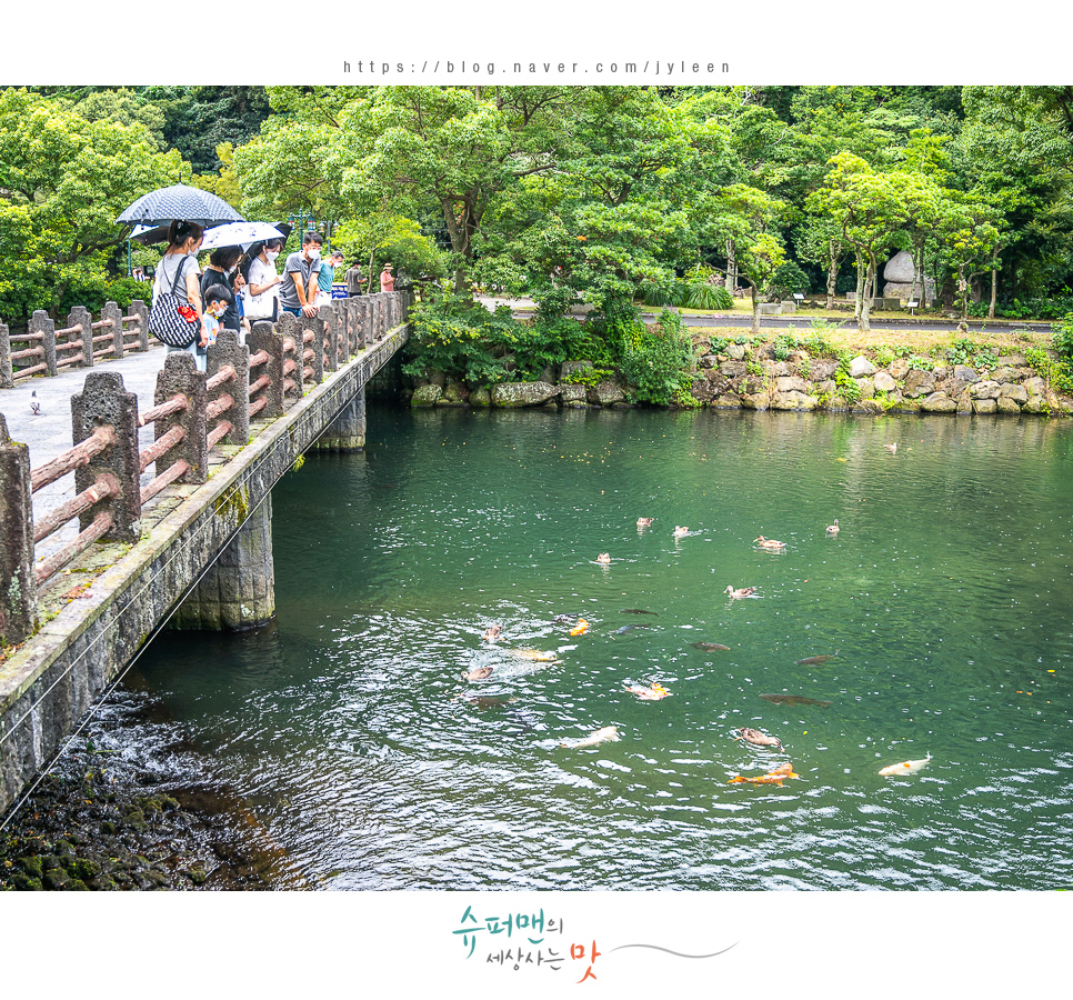 승합차렌트 제주도