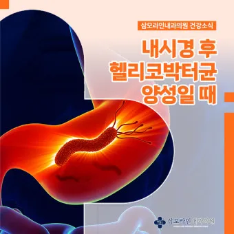 헬리코박터균 제균 치료 치료방법 성공률_9