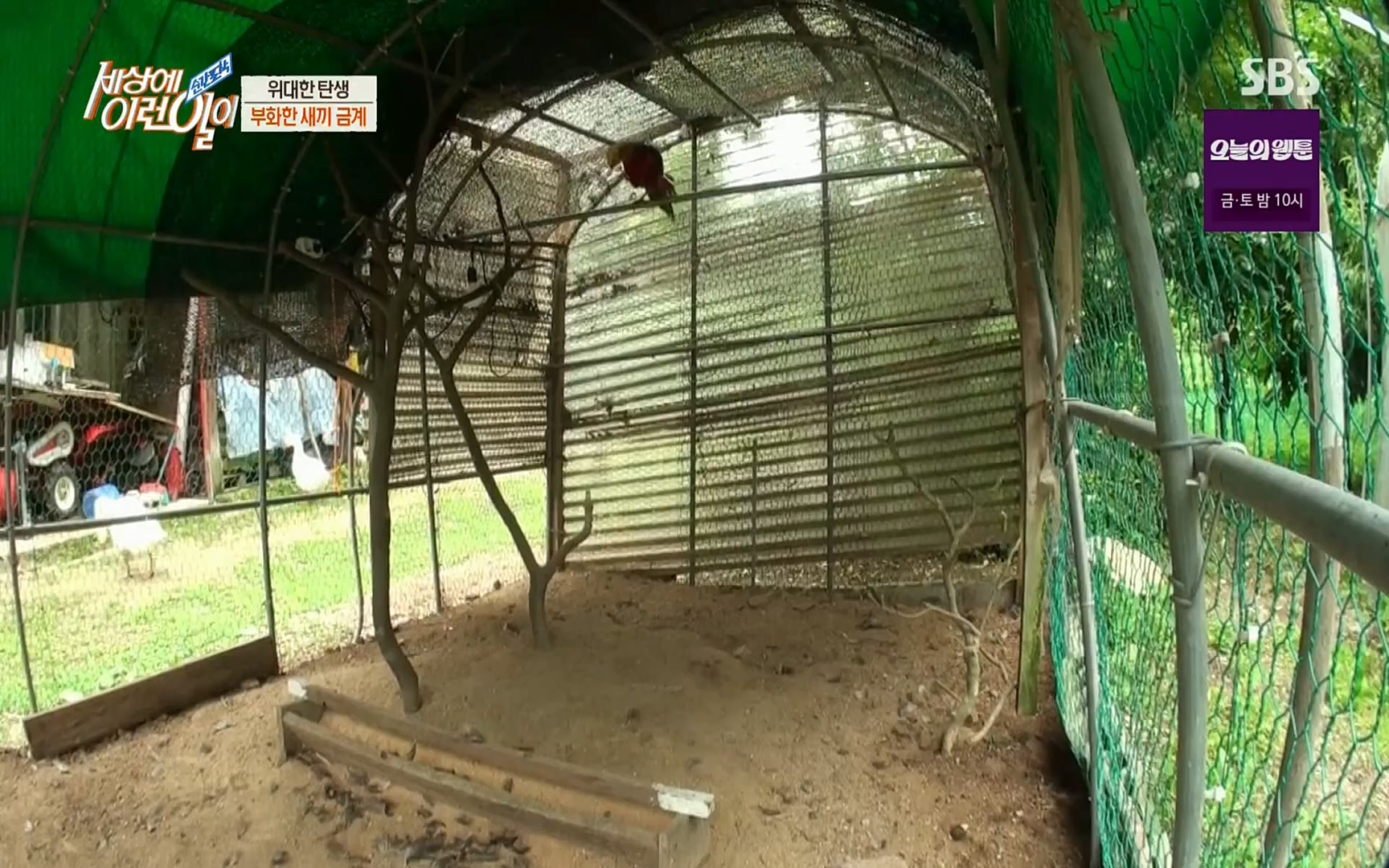 순간포착 세상에 이런일이.E1191.220802p.H264-F1RST.mp4_20220803_202134.773.jpg