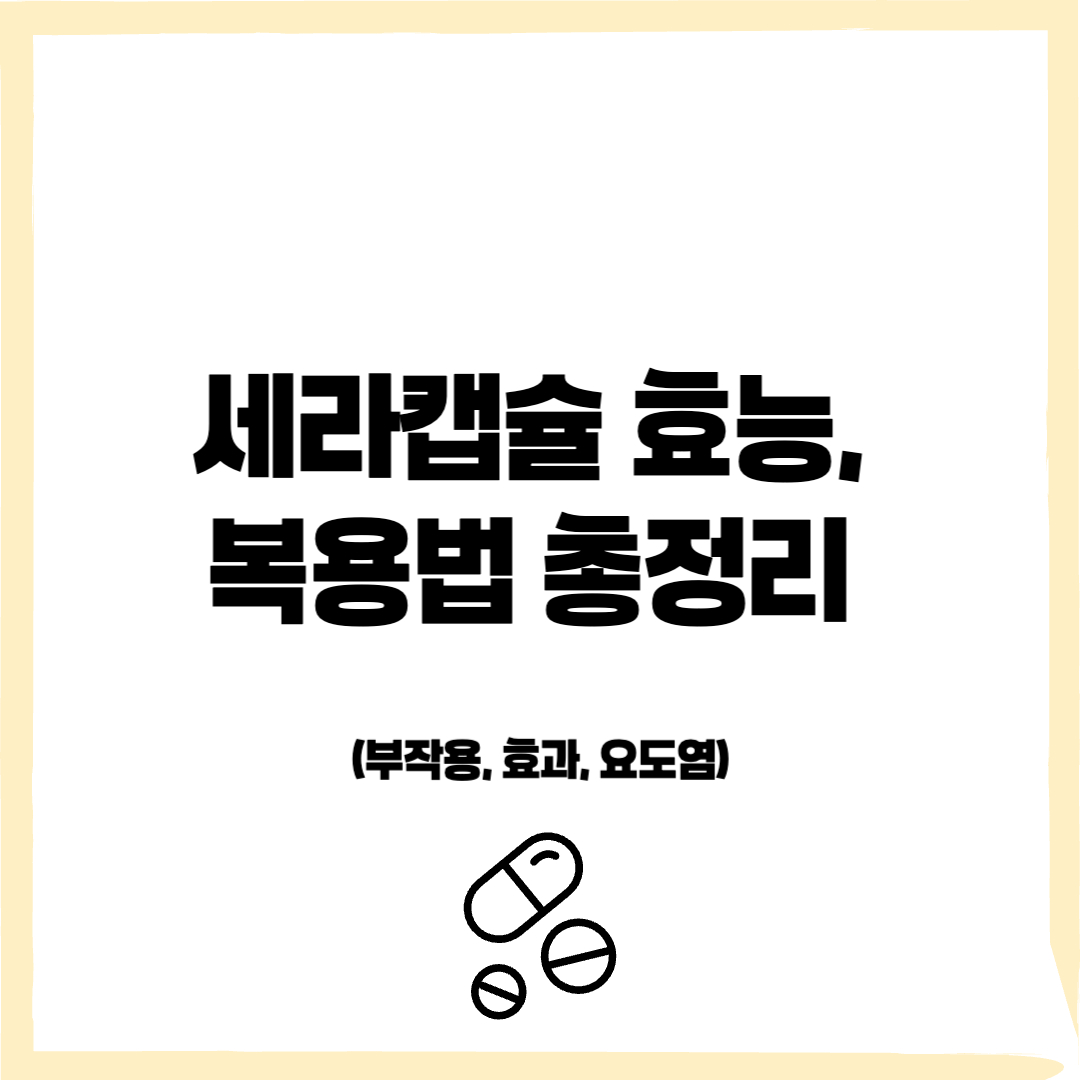 세라캡슐 효능, 세라캡슐 복용법, 세라캡슐 부작용, 세라캡슐 요도염, 임질 - 커버이미지