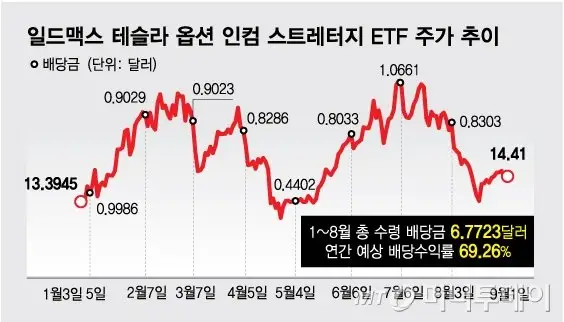 TSLY_주가_배당금