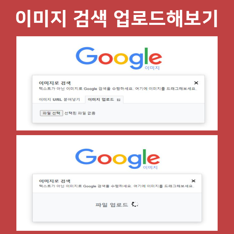 정말 가능해요. 이름으로 사람을 찾다. 11