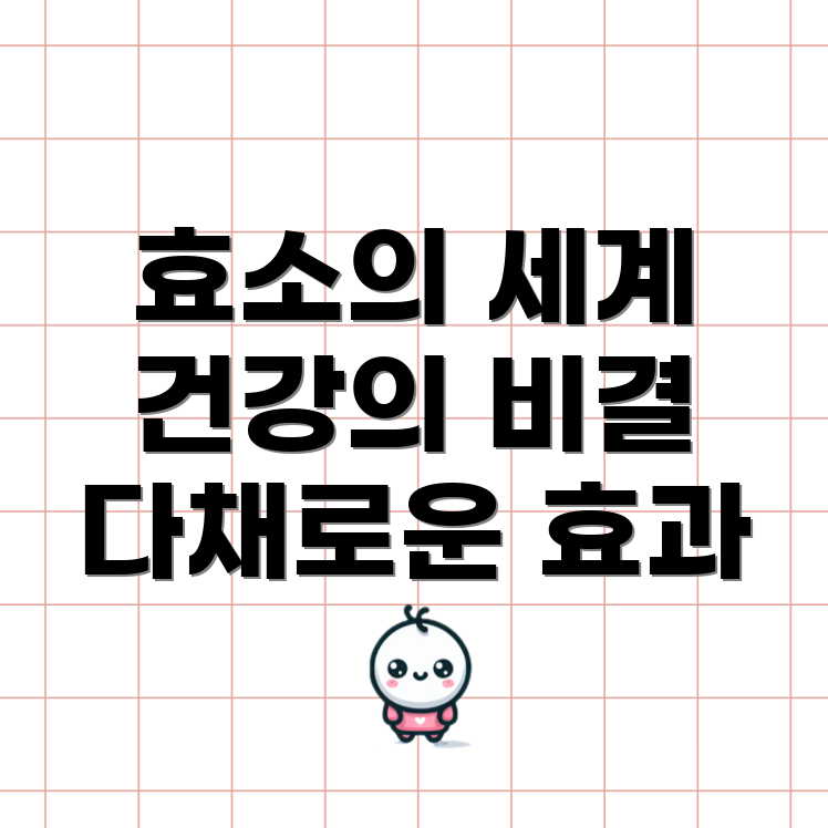 효소 기능