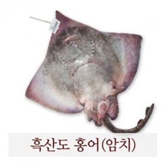 흑산도홍어 이미지
