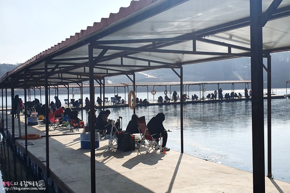 손맛느끼고 왔어요 강화도빙어축제 20