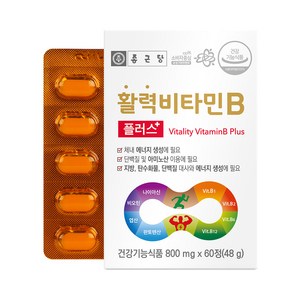 비타민B 추천