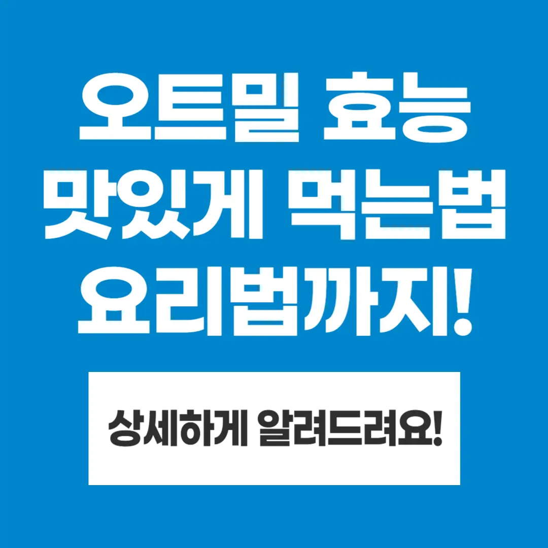 오트밀 효능