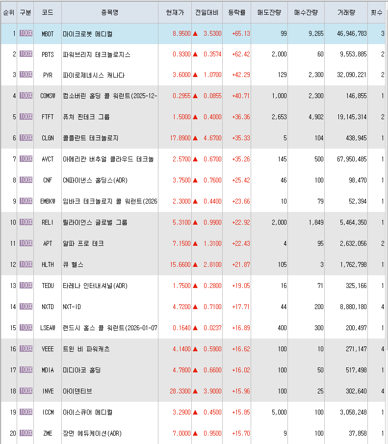  12월27일 미국주식 상승률 상위 종목 TOP 300