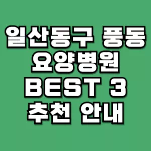 일산동구-풍동-요양병원