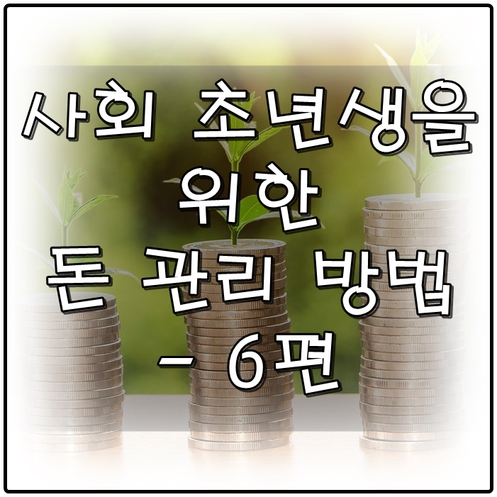  사회 초년생을 위한 돈 관리 방법 - 6편