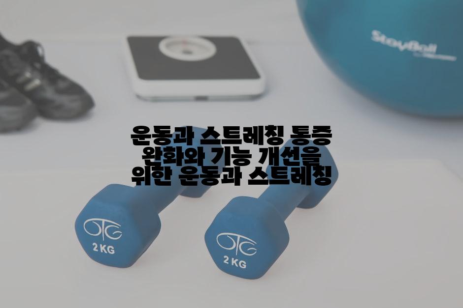 운동과 스트레칭 통증 완화와 기능 개선을 위한 운동과 스트레칭
