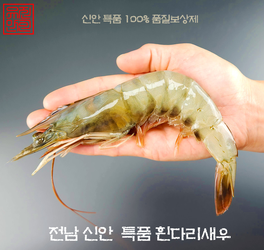  흰다리새우? 왕새우? 대하? 왕새우 철 알고먹자