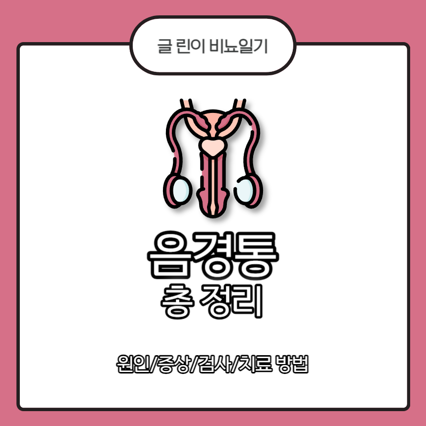  음경통 총 정리 : 원인/증상/검사/치료 방법