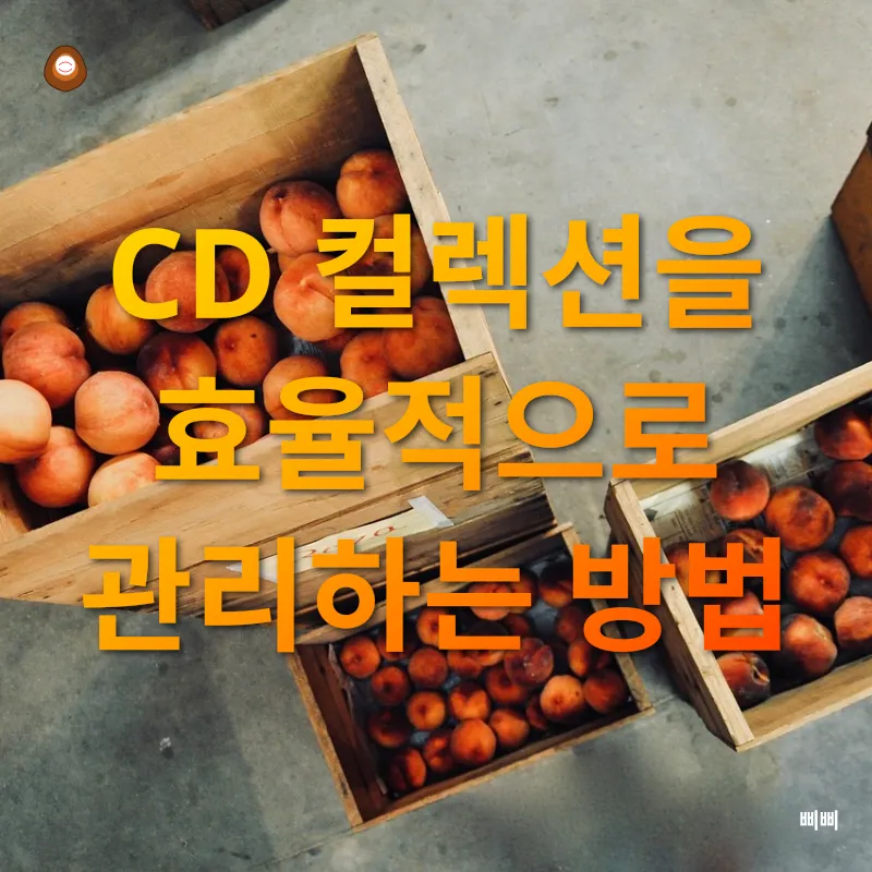 음악 컬렉션 보관_3