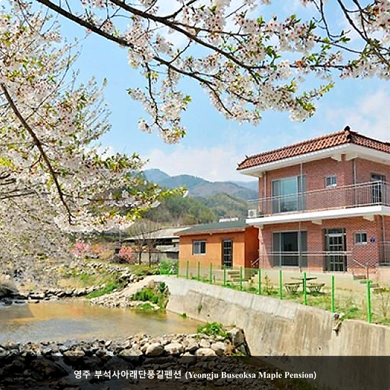 영주 부석사아래단풍길펜션 (Yeongju Buseoksa Maple Pension)_3