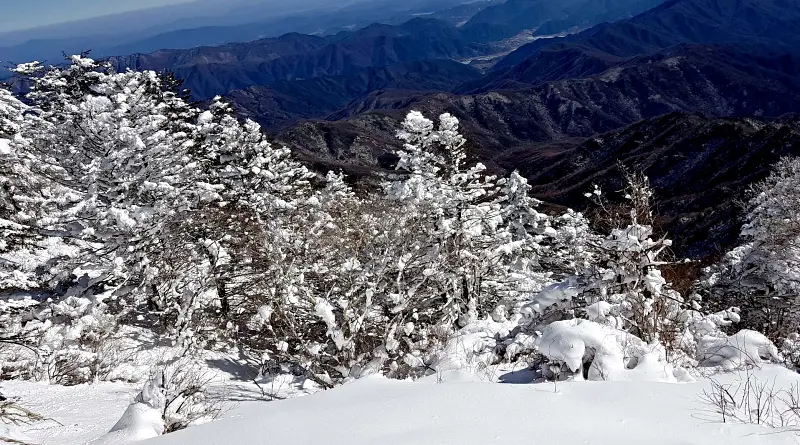 지리산 설경 상고대