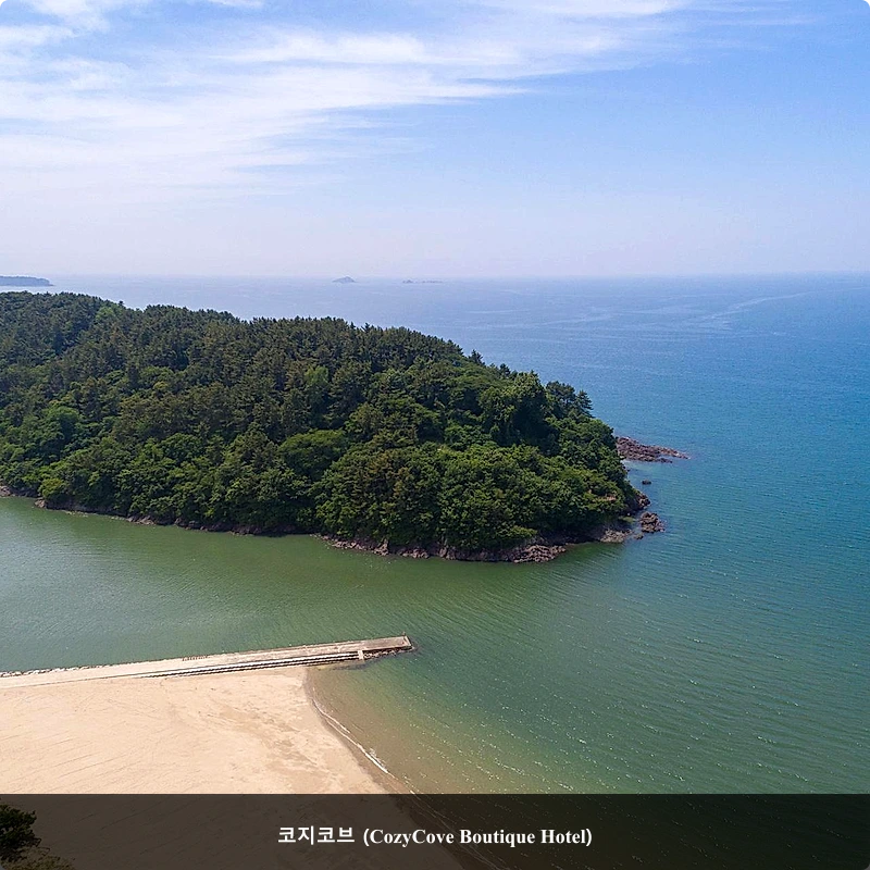 코지코브 (CozyCove Boutique Hotel)_4