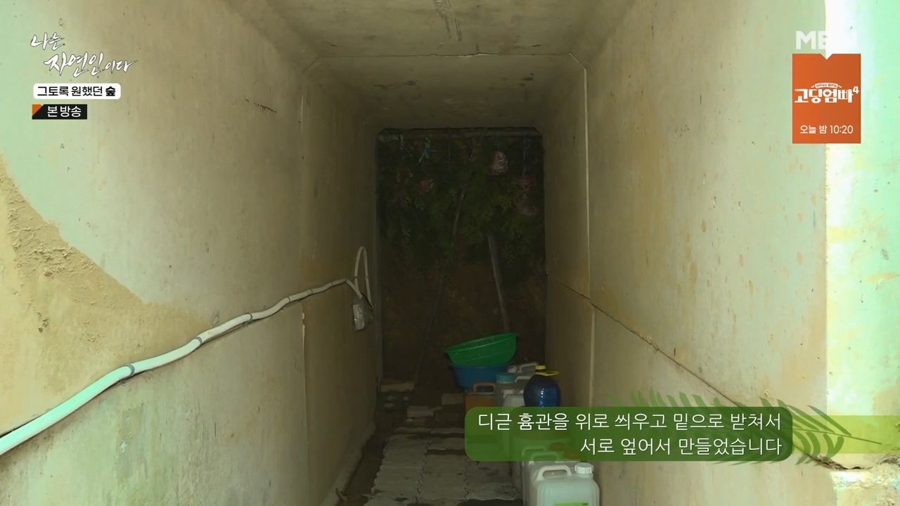 나는 자연인이다.E591.240132p-NEXT.mp4_20240201_194820.969.jpg
