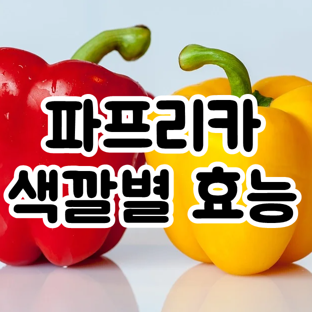  노란 파프리카 효능, 빨간 주황 색깔별 골라먹어요