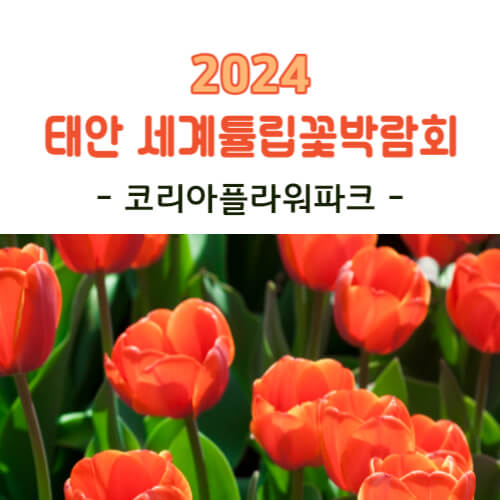 2024 태안 세계튤립꽃박람회