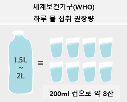 세계보건기구(WHO)가-발표한-하루-물-권장량