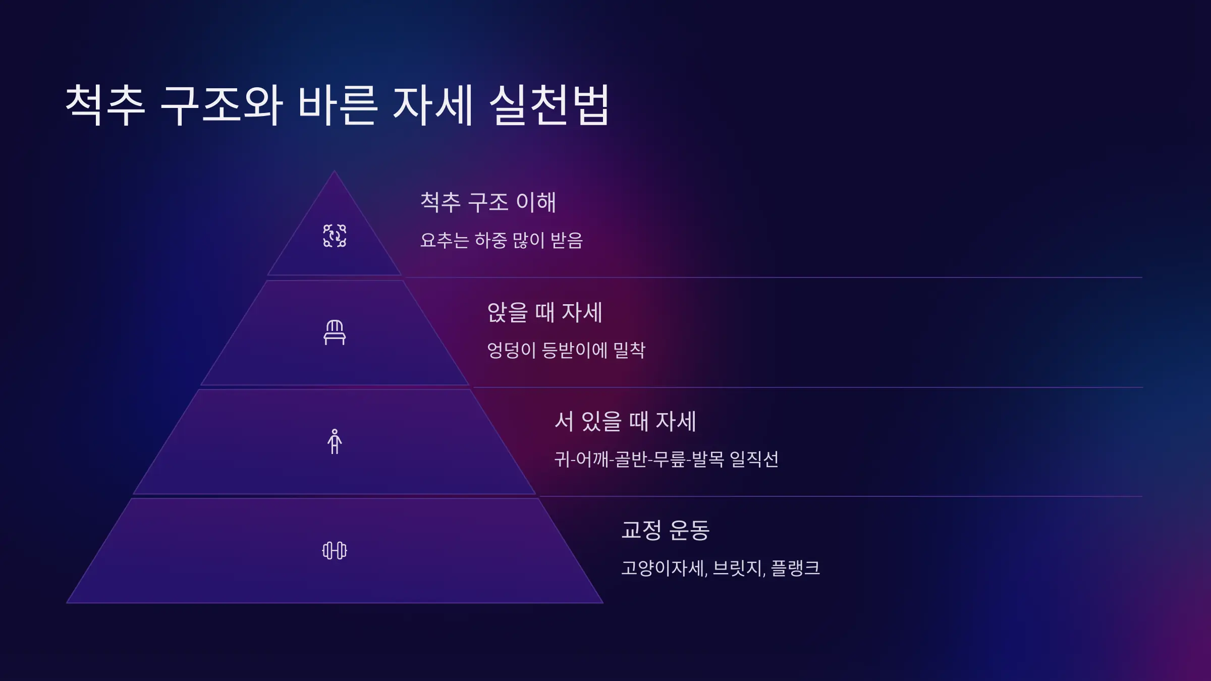 척추 구조 이해와 바른 자세 실천 전략