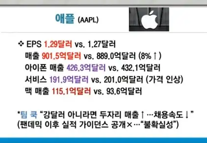 애플실적