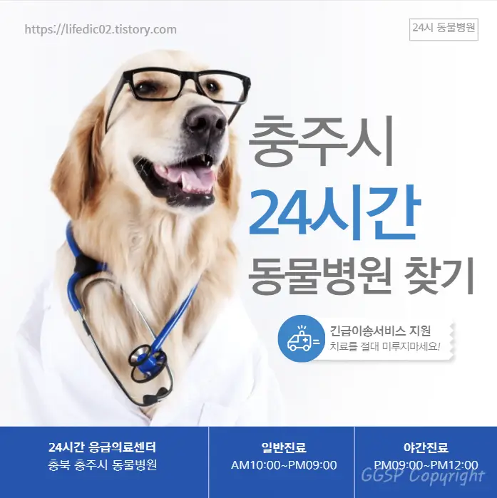  충주시 24시간 동물병원 근처 야간 일요일 강아지 병원 찾기