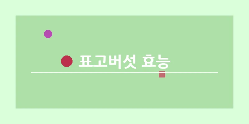 표고버섯 효능_7