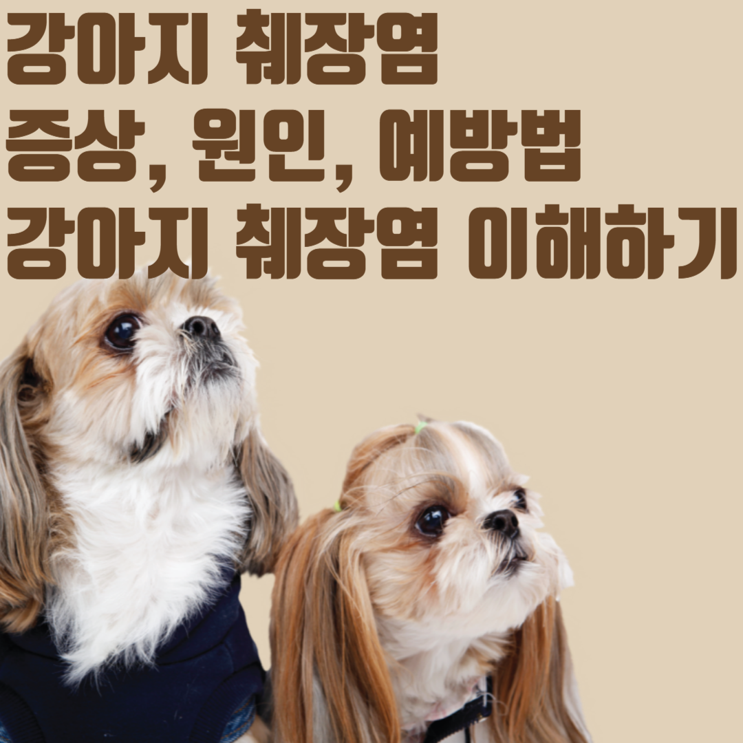 강아지 췌장염