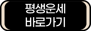 평생운세