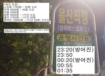 부산역 심야버스 정류장 서부 사상 시간표 예약 예매_2