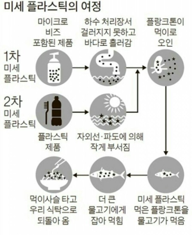 건강과 환경 이미지
