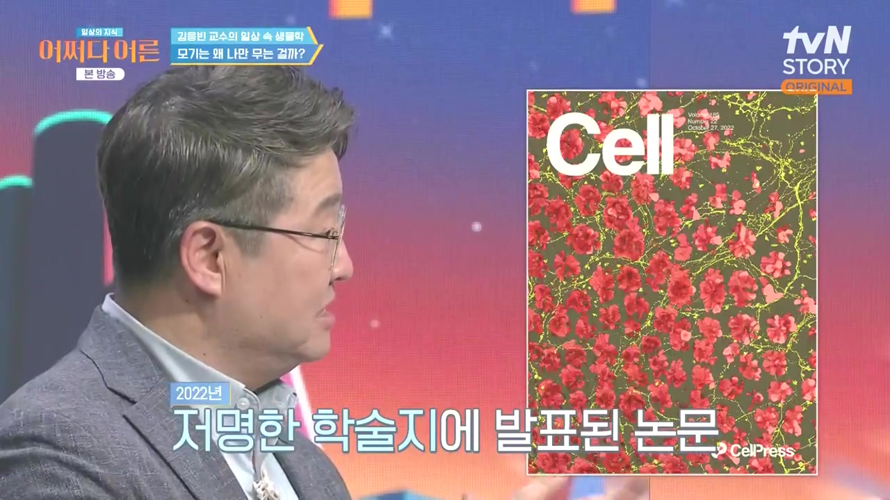 어쩌다 어른.E51.240410p-NEXT.mp4_20240410_173634.455.jpg