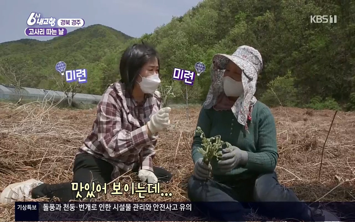 6시 내고향.E7518.220426p.H264-F1RST.mp4_20220504_185225.637.jpg