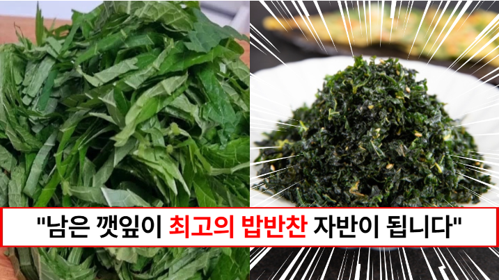 “남은 깻잎은 몽땅 다 튀기세요” 밥이 계속 들어가는 김자반보다 더 맛있는 깻잎자반 만드는 방법 (+남은 기름 활용법까지)