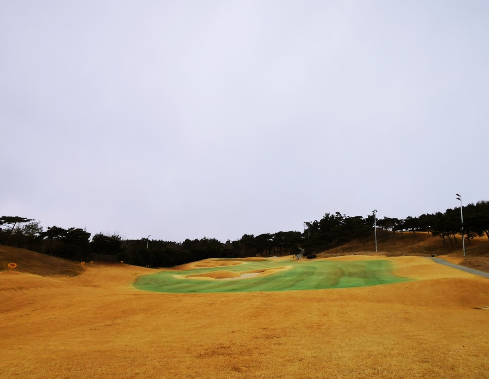 마제스티 1박2일 함평 엘리체CC 31