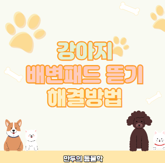 강아지배변패드뜯는이유해결방법