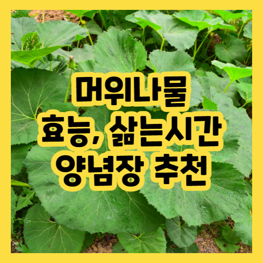 머위나물 효능&#44; 삶는시간&#44; 양념장 추천