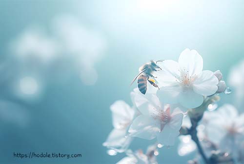 봄사진 꿀벌