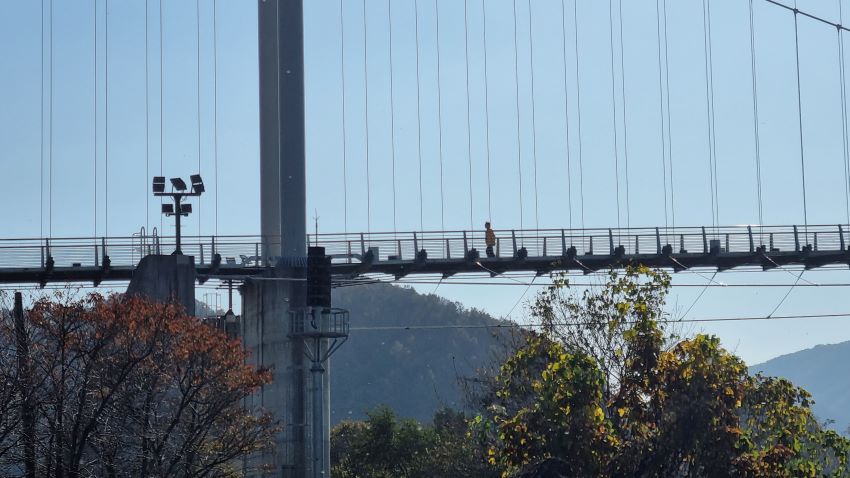 클로즈업된 하늘 다리&#44; 걸어가는 사람들&#44; 삼각 강선과 다리 상판을 연결한 수많은 수직선&#44; 푸른 하늘&#44; 다리 아래는 나무&#44;