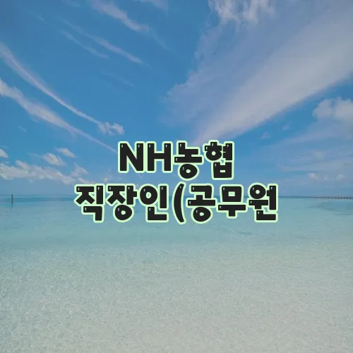NH농협 직장인(공무원, 교직원, 공기업) 마이너스 신용 대출