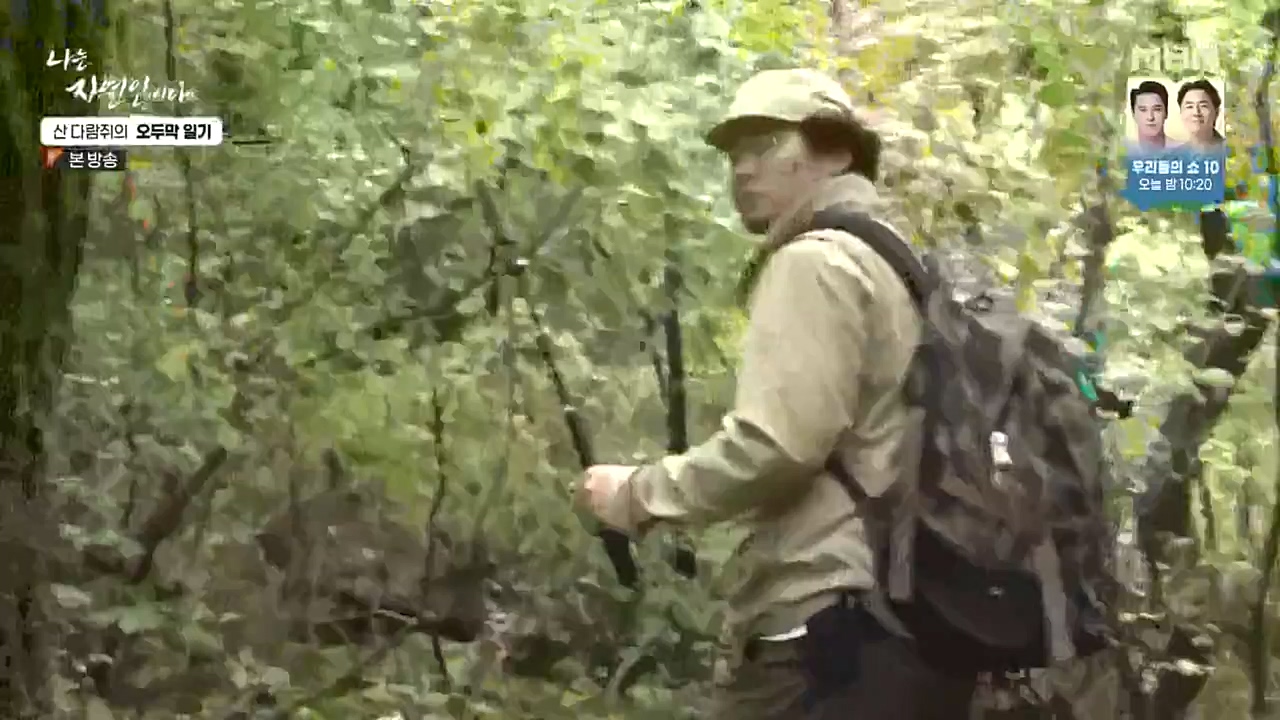 나는 자연인이다.E525.221027p-NEXT.mp4_20221027_192738.436.jpg