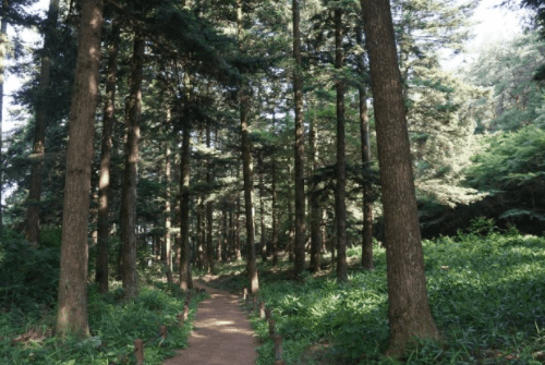 변산반도우금암10