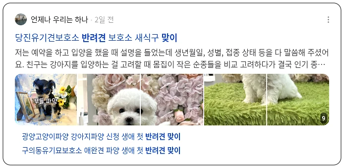 반려견 맞이_3_subsection