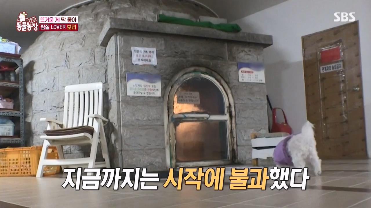 TV 동물농장.E1156.240129p-NEXT.mp4_20240128_191731.798.jpg
