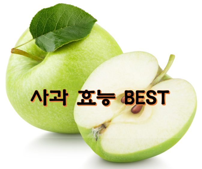  사과 효능 BEST