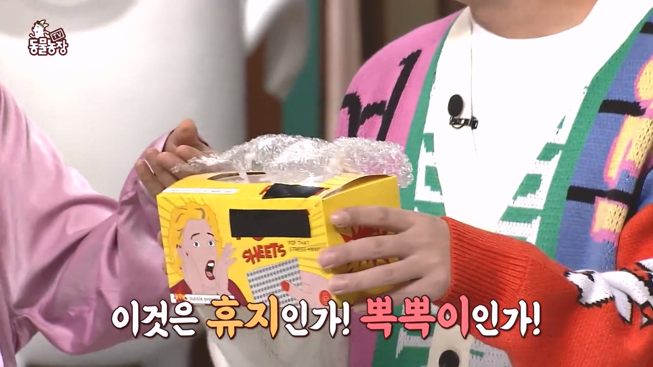 TV 동물농장.E1145.231113p-NEXT.mp4_20231112_173431.723.jpg